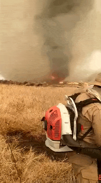 Veja vídeos do redemoinho de fogo em fazenda de Corumbá