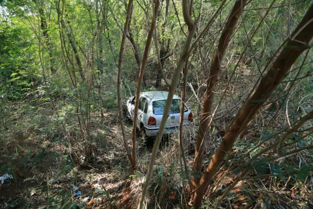 Idoso &ldquo;invade&rdquo; mata no Jardim Panam&aacute; com carro e &eacute; socorrido por moradores