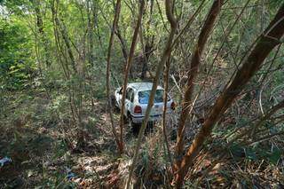 Idoso &ldquo;invade&rdquo; mata no Jardim Panam&aacute; com carro e &eacute; socorrido por moradores