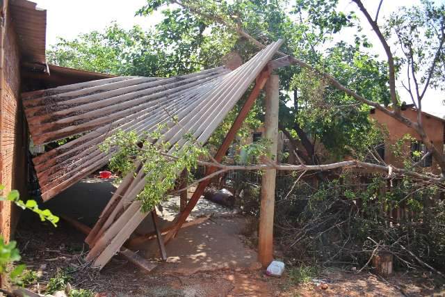 &quot;Parecia terremoto&quot;, diz moradora que teve varanda destru&iacute;da por &aacute;rvore