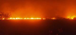 Incêndio em vegetação na Fazenda Tatu, no distrito de Porto Esperança. (Foto: Governo do Estado)