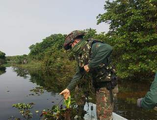 Policial retirando rede de pesca do leito de rio em Mato Grosso do Sul. (Foto: PMA)