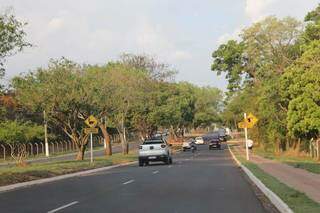 Ruas do Parque dos Poderes, região com várias áreas naturais protegidas por lei (Foto: Paulo Francis)