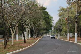 Parque dos Poderes, uma das principais áreas verdes da Capital. (Foto: Arquivo)