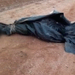 Dois cadáveres são encontrados em sacos plásticos na fronteira