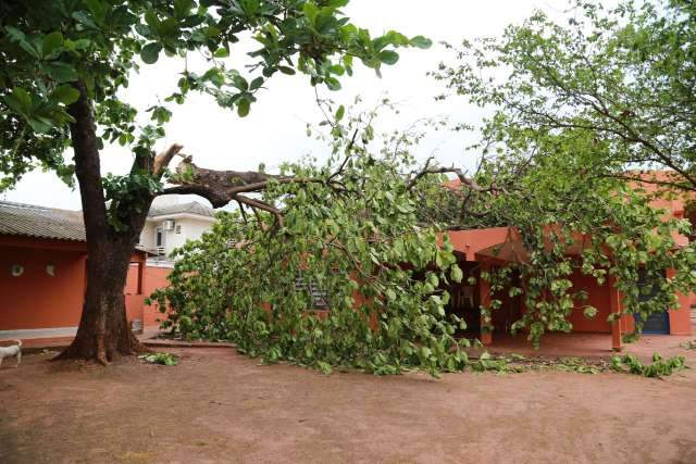 Peda&ccedil;o de &aacute;rvore quebra telhado de antigo aeroclube ap&oacute;s ventania