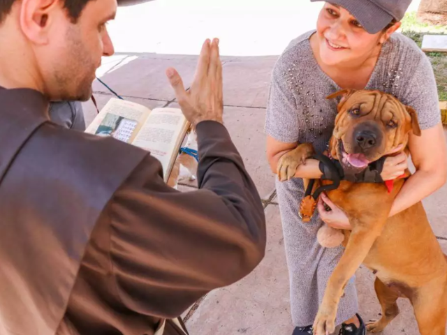 Par&oacute;quia S&atilde;o Francisco ter&aacute; ben&ccedil;&atilde;o dos animais nesta segunda-feira