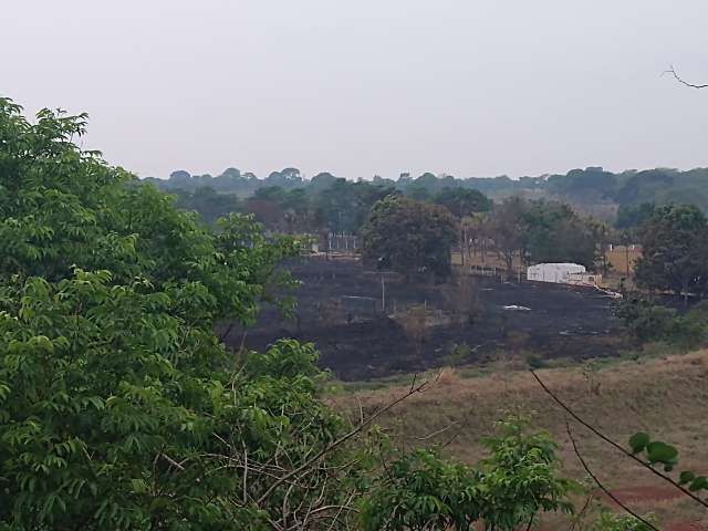 Inc&ecirc;ndio em reserva atr&aacute;s do Damha devastou tr&ecirc;s hectares de mata