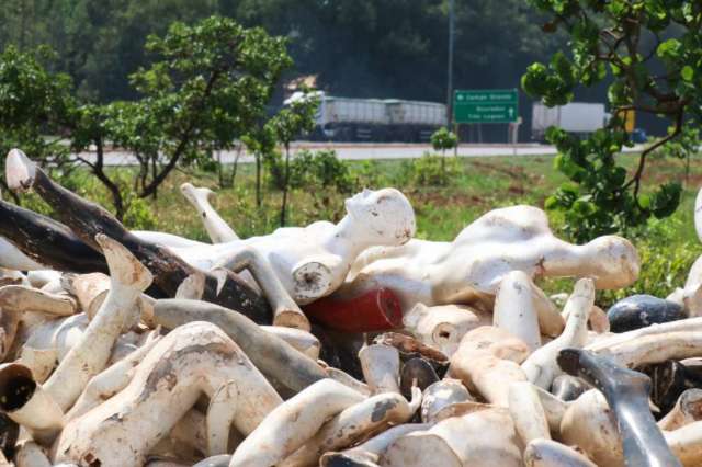 Respons&aacute;vel por descartar manequins pode ser multado em R$ 9,5 mil 