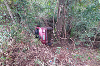 Veículo na área de mata após capotagem na pista. (Foto: João Éric/O Pantaneiro)