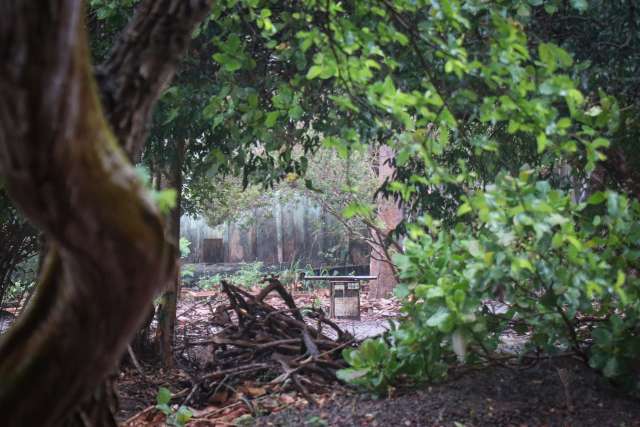  Morador sente cheiro forte e encontra vizinho morto no quintal 