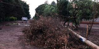 Poste caído em uma das ruas de São Gabriel do Oeste. (Foto: Idest)