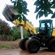 Prefeitura remove moradora de área pública durante a madrugada