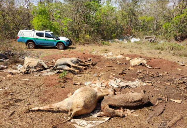 Fazendeira &eacute; multada em R$ 10 mil por eros&atilde;o e descarte irregular de carca&ccedil;as