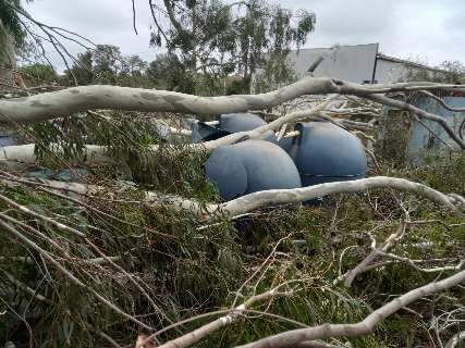 Tempestade provoca estragos em balneário e desabriga família em Três Lagoas