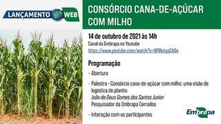 Consórcio pretende intensificar a produção da cana como matriz da sustentabilidade do Cerrado