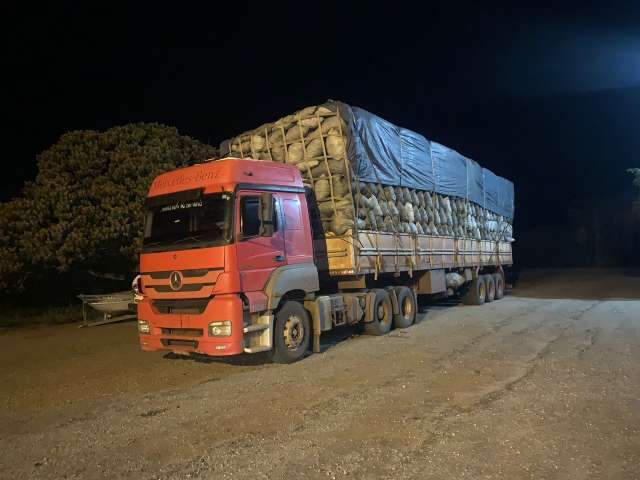Motorista &eacute; multado em 33 mil por transporte ilegal de carv&atilde;o 