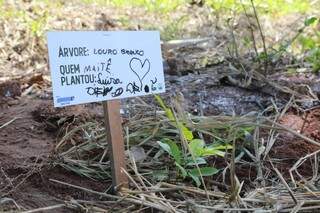 Com plantio de mudas, Dia das Crian&ccedil;as &eacute; de &ldquo;conex&atilde;o com a natureza&rdquo; na Capital