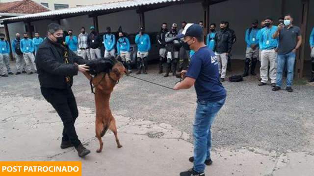 Com medidas simples, você ajuda a salvar leituristas do ataque de cães