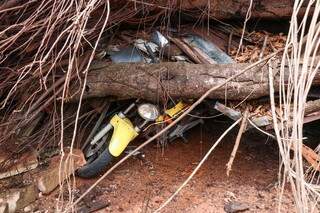 Motocicleta ficou debaixo dos galhos e dos troncos da árvore. (Foto: Henrique Kawaminami)