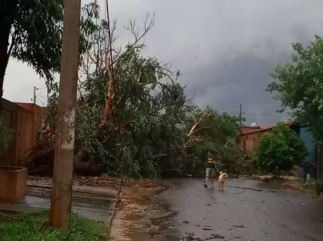Pelo caminho, leitores registram interdi&ccedil;&otilde;es em dia ca&oacute;tico