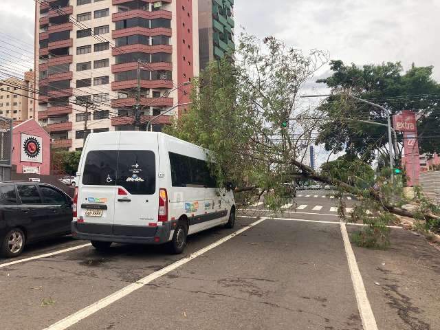&Aacute;rvore cai sobre ambul&acirc;ncia em rua do Centro e trava tr&acirc;nsito do local