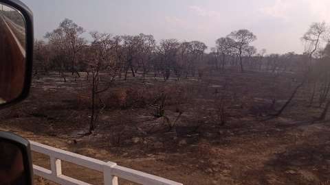 "A natureza pede socorro", lamenta leitora após ver o Pantanal em cinzas