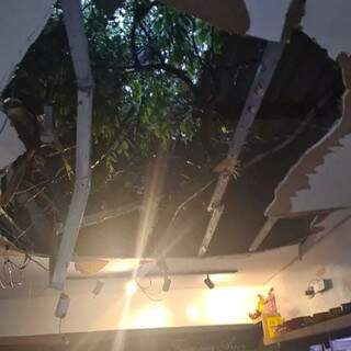 Telhado do restaurante todo destruído pela queda da árvore, na manhã desta quinta-feira (Foto: Direto das Ruas)
