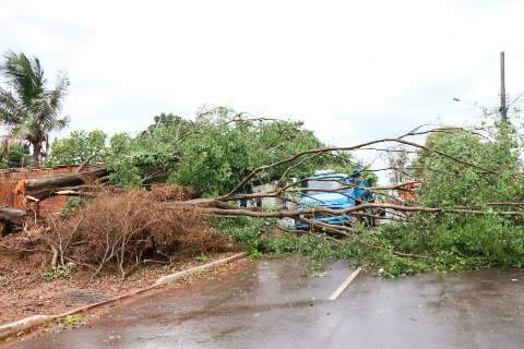“Situação desagradável”, diz morador que teve caminhão atingido por árvore