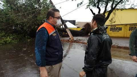 120 árvores caem e prefeito decreta situação de emergência