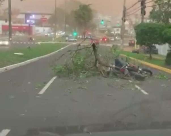 Motociclista &eacute; atingido por &aacute;rvore durante ventania na Av. Mato Grosso 