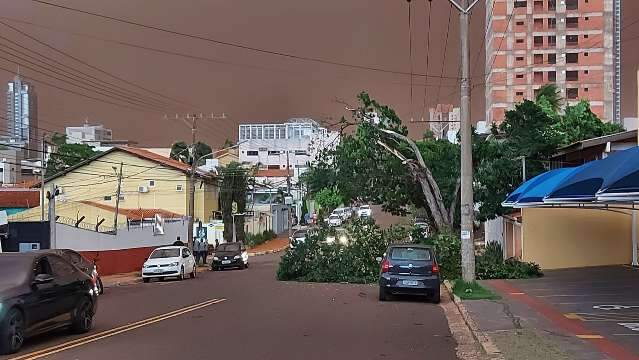 Ap&oacute;s vendaval, prefeitura concentra chamadas na Central 156