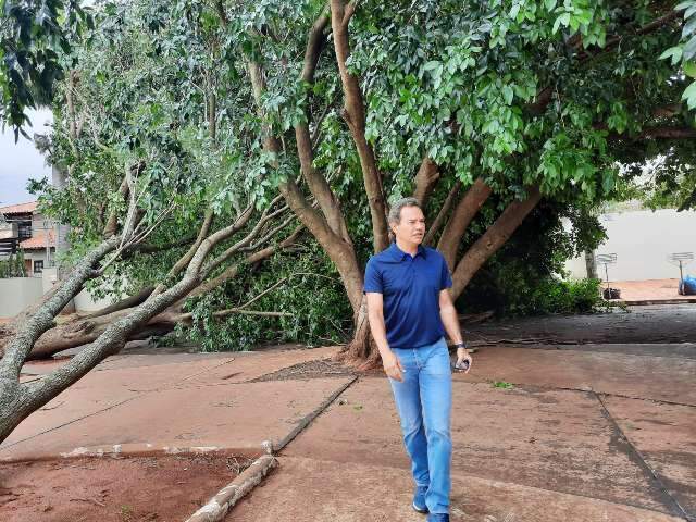 Prefeitura mobiliza 300 homens para remover 180 &aacute;rvores ca&iacute;das