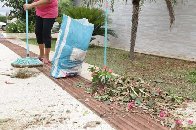 Dia foi de limpeza na cal&ccedil;ada e ronco de motosserra pelas ruas da cidade