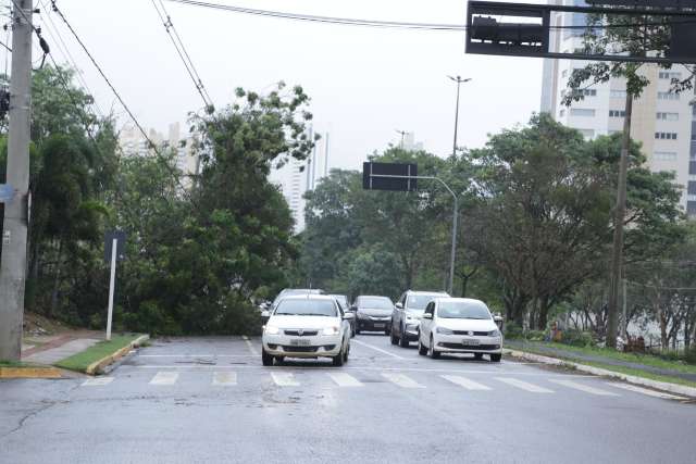 Ap&oacute;s tempestade, cidade amanhece com ruas bloqueadas e sem&aacute;foros desligados