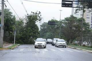 Galhos bloqueiam pista da Avenida Afonso Pena na manhã deste sábado. (Foto: Kísie Ainoã)