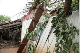 Casa de madeira, onde mora Valmir de Souza, ficou completamente destruída (Foto: Henrique Kawaminami)