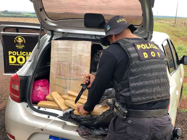 DOF prende homem com 208 kg de maconha em rodovia