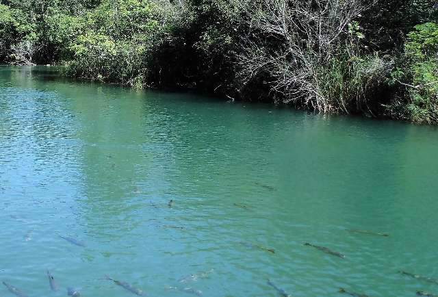 Vereador quer usar &aacute;guas dos rios de Bonito para abastecer a cidade