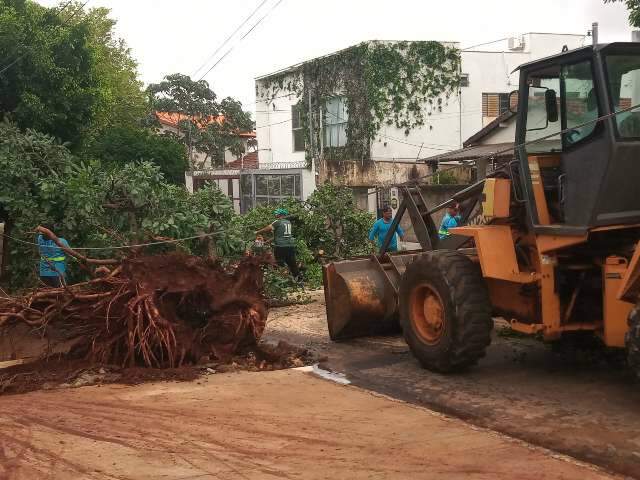 Prefeitura coloca 443 servidores para consertar estragos da semana passada