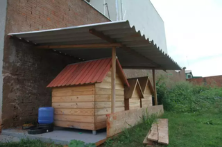 Casas de madeira, telhado, água e comida para animais de rua, que morador colocou em terreno baldio do Bairro Mata do Segreto, em 2017 (Foto: Arquivo)