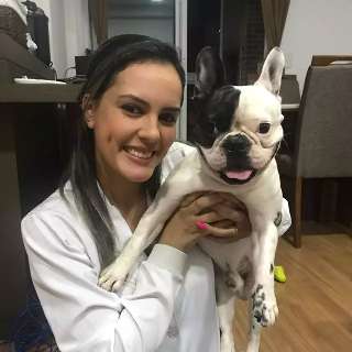 Médica veterinária estreia coluna com dicas para quem ama o pet como filho