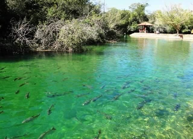 Proposta de capta&ccedil;&atilde;o das &aacute;guas dos rios de Bonito &eacute; rejeitada por vereadores 