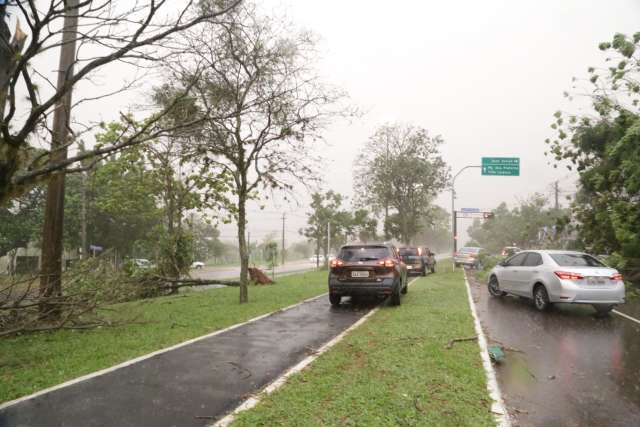 Menos intenso que &uacute;ltimo temporal, pr&oacute;ximo fim de semana pode ter chuvas fortes