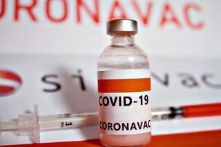 Se vai para o exterior, antes de fechar a compra da viagem é preciso ver se a vacina da sua imunização contra a Covid-19 no Brasil é aceita no país de destino (Foto: Reprodução)