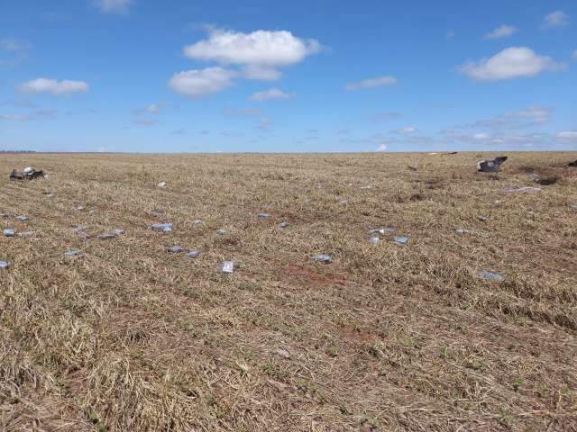 Tabletes de coca&iacute;na ficam espalhados onde helic&oacute;ptero caiu com duas pessoas