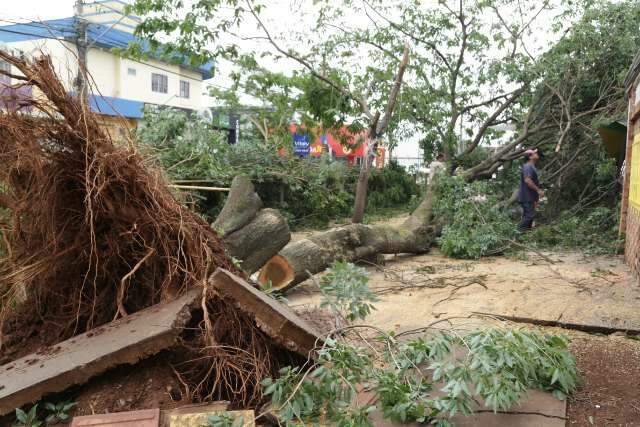 Cinco dias ap&oacute;s tempestade, bombeiros ainda t&ecirc;m 110 ocorr&ecirc;ncias sem atendimento