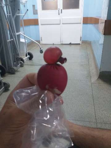 Aluno com defici&ecirc;ncia diz ter sido obrigado a engolir bexiga com &aacute;gua em escola