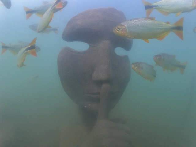 As imagens são incríveis: passeie pelo Museu Subaquático de Bonito