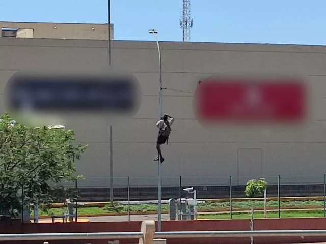 Sob condi&ccedil;&atilde;o de buscar tratamento, &ldquo;homem-aranha&rdquo; &eacute; libertado 